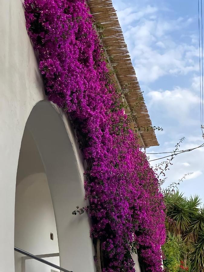 Roberhouse Tragara 37 Apartman Capri Kültér fotó